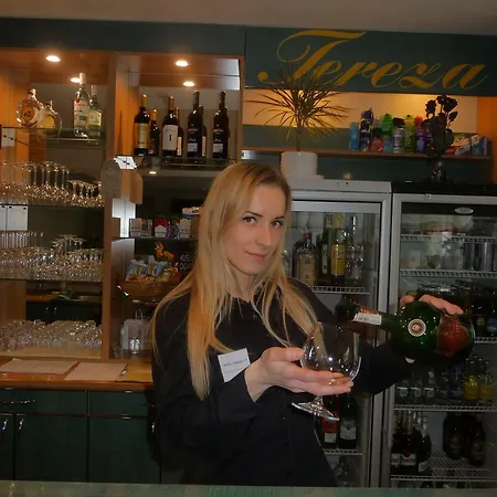 Apartmán Tereza *